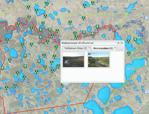 Web-GIS for “Taimyrskiy” Nature Reserve