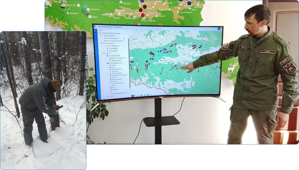 ЗМУ в Тункинском нацпарке