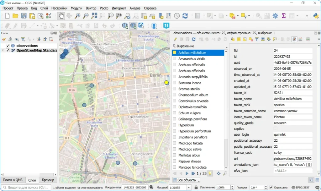 Данные iNaturalist в QGIS